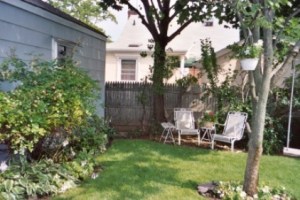 backyard06