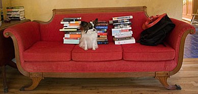 couch_dog_books