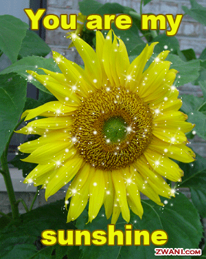 you-are-my-sunshine2